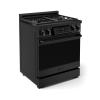 RSG30BLP 101971192.png