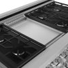 RSG48E 101985610.jpg