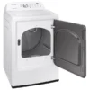DVE45T3200W 20169541.webp