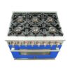 FFSGS618736BLU 105769474