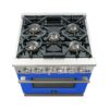 FFSGS626030BLU 105769784